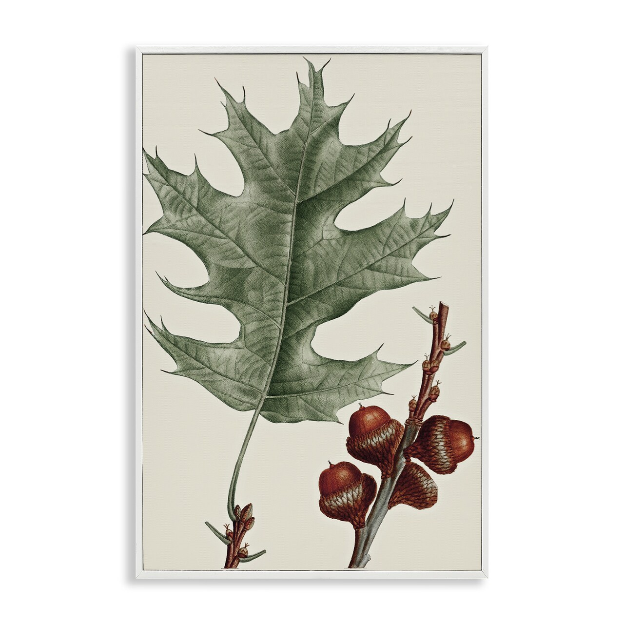 Stupell Industries Vintage Black Oak Leaf Framed Giclee Wall Art Design by Graffi*tee Studios